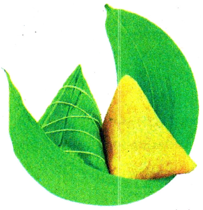 ˱Ӱ